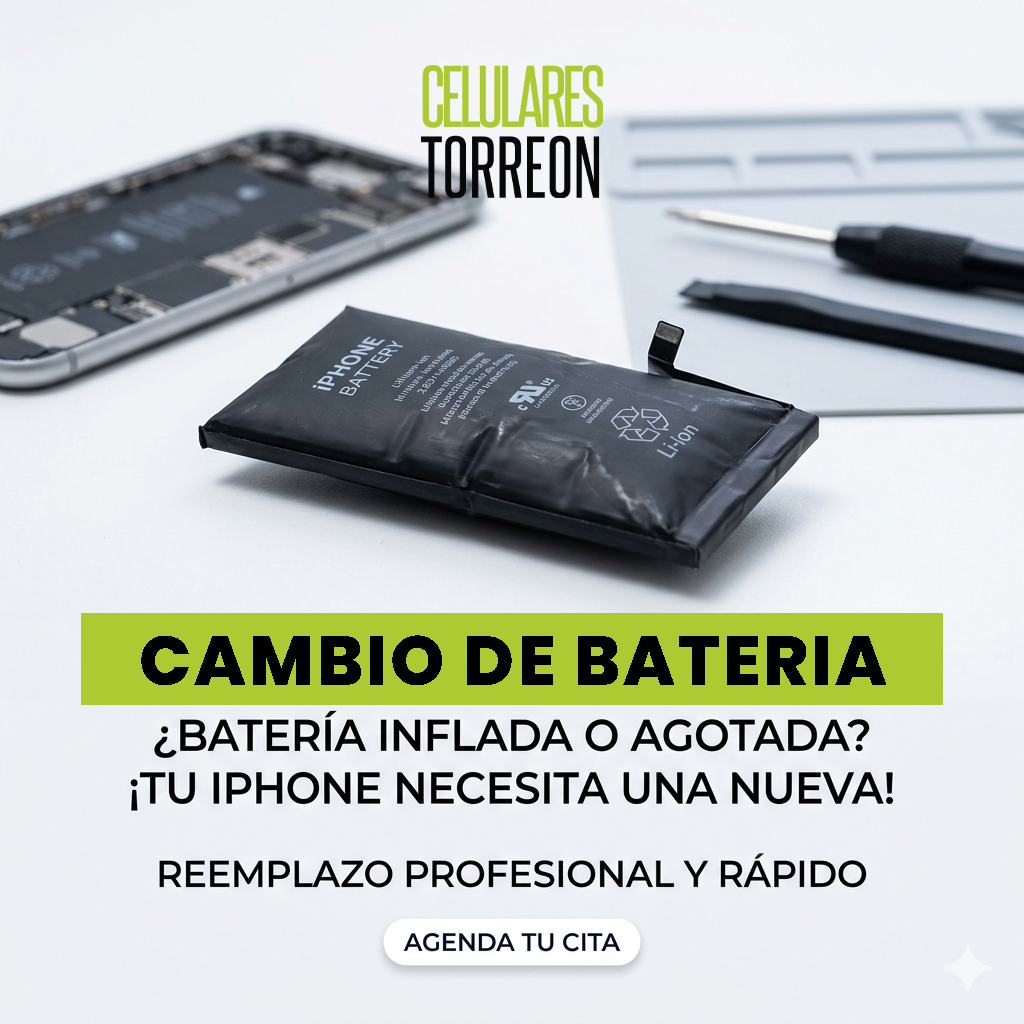 Promoción del mes - Reparación profesional